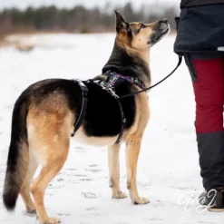 FinNero RESCUE valjas stoppari, musta