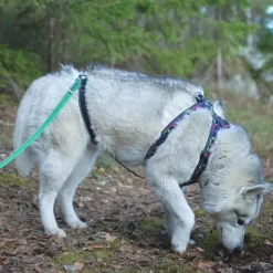 FinNero RESCUE valjas stoppari, musta