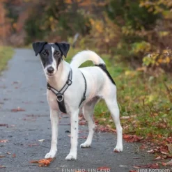 FinNero SALO valjaat, XS, musta