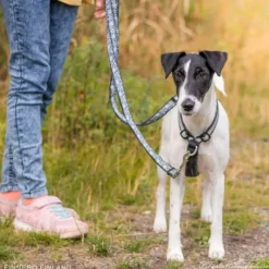 FinNero SALO valjaat, XS, musta