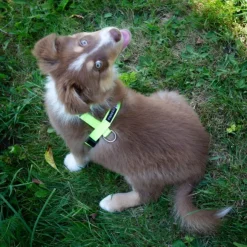 FinNero SALO valjaat, XS, neonkeltainen