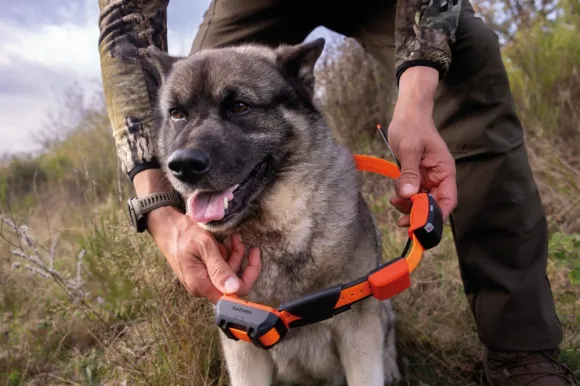 Garmin Alpha LTE koiranseurantalaite