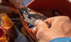 Gerber CompleEAT setti, Orange