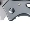Gerber Paraframe I Folder Fine Edge