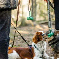 Green Bone Forest pidike + kakkapussirulla, 1 rulla, 15 kpl