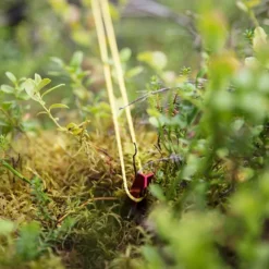 Helsport Pegs 15 cm 10 pcs -telttakiilat