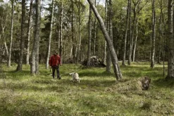 Härkila Kamko Windstopper -fleecetakki, punainen/ruskea