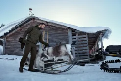 Härkila Logmar HWS Packable Trouser metsästyshousut, Willow Green