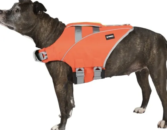 Hundra Dog Life Jacket koirien pelastusliivi L