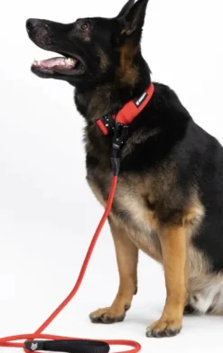 Hundra köysitalutin, punainen