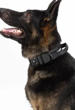 Hundra Tactical Dog Collar with Handle kaulapanta musta M