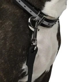 Hundra Training Leash pyöreä jälkiliina