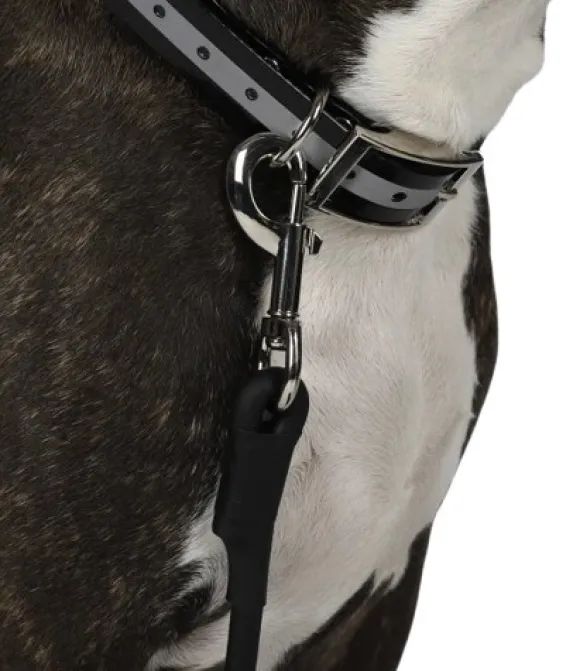 Hundra Training Leash pyöreä jälkiliina