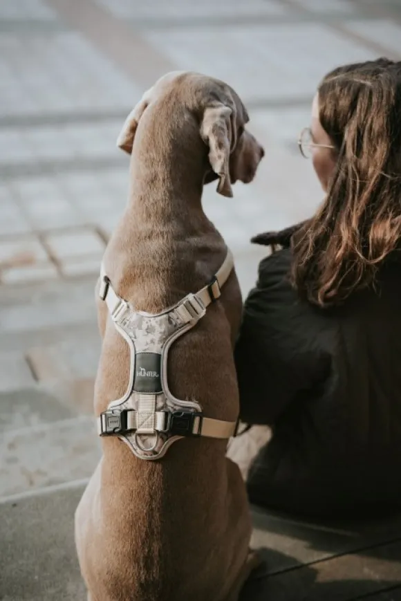 HUNTER Harness Divo valjaat, XS-S, Camouflage Beige