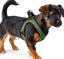 HUNTER Harness Hilo Comfort valjaat, XS-S, Linden Green