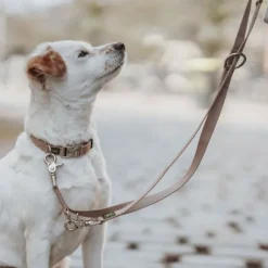 HUNTER Inari T-Leash koiran talutushihna, 25/200 cm, Tan