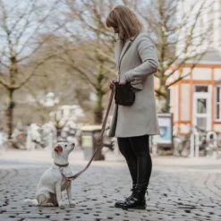 HUNTER Inari T-Leash koiran talutushihna, 25/200 cm, Tan