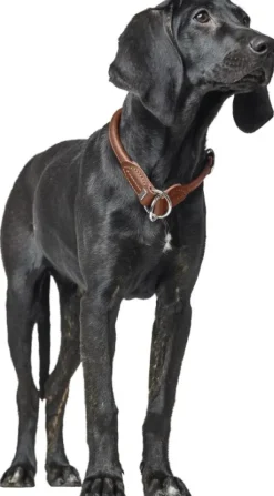 HUNTER T-Collar R&S Canadian UP puolikuristava kaulapanta, S-M, Black