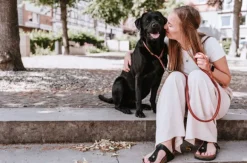 HUNTER T-Collar R&S Canadian UP puolikuristava kaulapanta, L-XL/60, Cognac