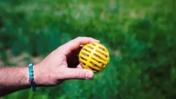 HUNTER Toy Dog Flingerz Ball Thrower heittovarsi lelulla