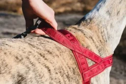 Hurtta Casual Harness ECO valjaat, 50 - 80 cm, musta