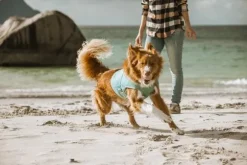 Hurtta Cooling Wrap koiran viilennysliivit, 75–85 cm, vaaleansininen