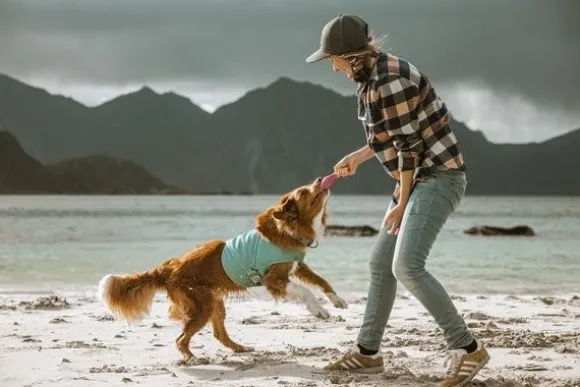 Hurtta Cooling Wrap koiran viilennysliivit, 65–75 cm, vaaleansininen