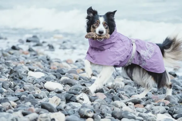 Hurtta Drizzle koiran sadetakki, korppi 60-70 cm