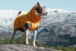 Hurtta Expedition parka, 20 cm, oranssi