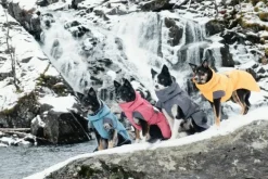 Hurtta Expedition Parka Bilberry 20 cm