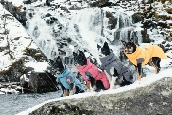 Hurtta Expedition Parka koirantakki, 80 cm, Bilberry