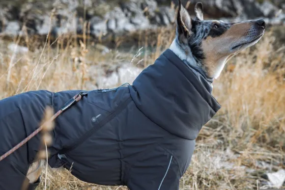 Hurtta Extreme Overall Blackberry 25-35S cm