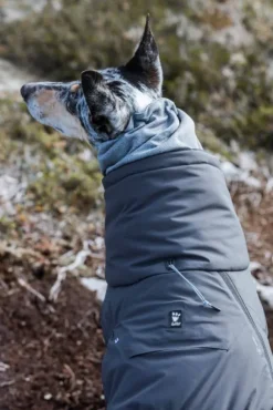 Hurtta Extreme Overall Blackberry 25-35S cm