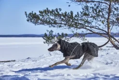 Hurtta Extreme Warmer III ECO koiran talvitakki, 25-35 cm, Raven