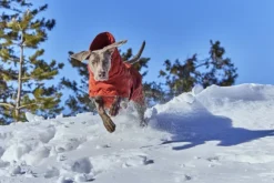 Hurtta Extreme Warmer III ECO koiran talvitakki, 40-50 cm, Cinnamon