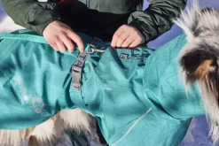 Hurtta Monsoon Coat II ECO koirantakki, 23-35 cm, Peacock