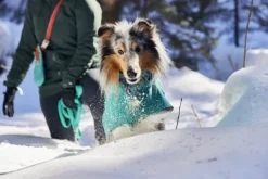 Hurtta Monsoon Coat II ECO koirantakki, 80 cm, Peacock