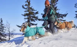 Hurtta Monsoon Coat II ECO koirantakki, 80 cm, Peacock