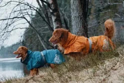 Hurtta Monsoon koiran sadetakki, 60 cm, Buckthorn