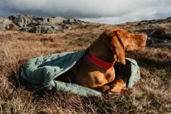 Hurtta Outback Dreamer ECO Hedge M