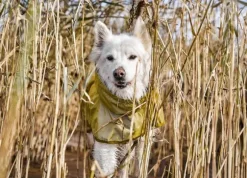 Hurtta Rainwear Mudventure Reflective Coat koiran sadetakki, 40-50 cm, Turmeric