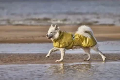 Hurtta Rainwear Mudventure Reflective Coat koiran sadetakki, 40-50 cm, Turmeric