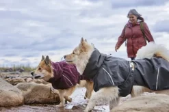 Hurtta Rainwear Mudventure Coat ECO sadetakki, 60-65 cm, Eggplant