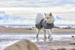 Hurtta Rainwear Mudventure Coat ECO sadetakki, 60-65 cm, Blackberry