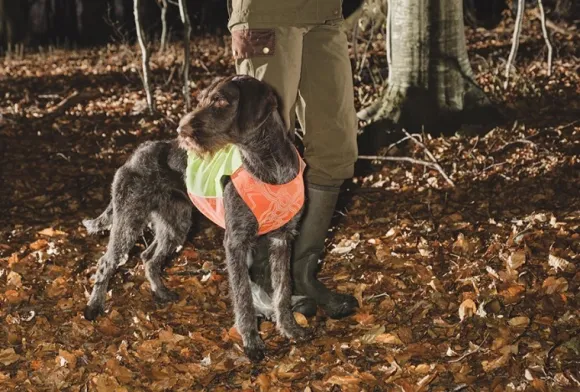 Hurtta Ranger Vest Orange XS