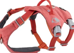 Hurtta Safeguard ECO Sele valjaat, 55-80cm, Strawberry