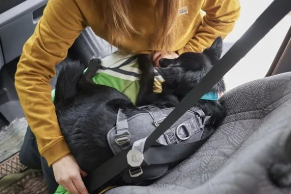 Hurtta Travel Harness ECO 10-20 kg koiran matkavaljaat, Blackberry