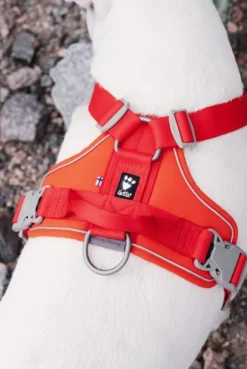 Hurtta Weekend Warrior Eco valjaat, vihreä 60-80 cm