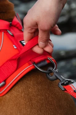 Hurtta Weekend Warrior Eco valjaat, vihreä 60-80 cm