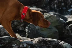 Hurtta Weekend Warrior Eco -panta, oranssi